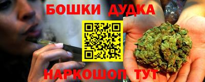 СК Кингисепп