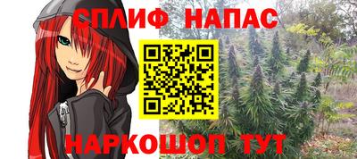 СК Кингисепп