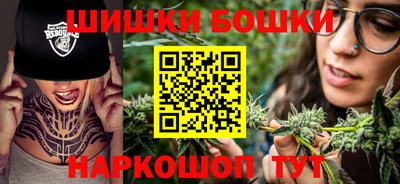 СК Кингисепп