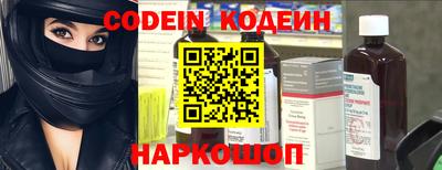 СК Кингисепп